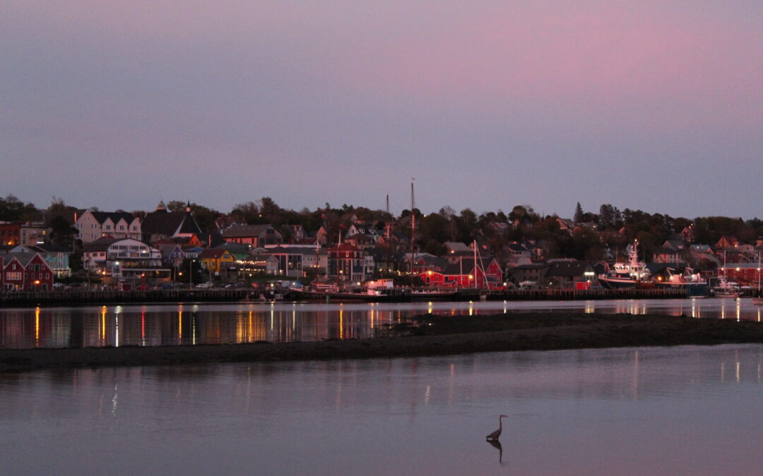 Changing the Face of Climate Action through Stakeholder Engagement and Leadership