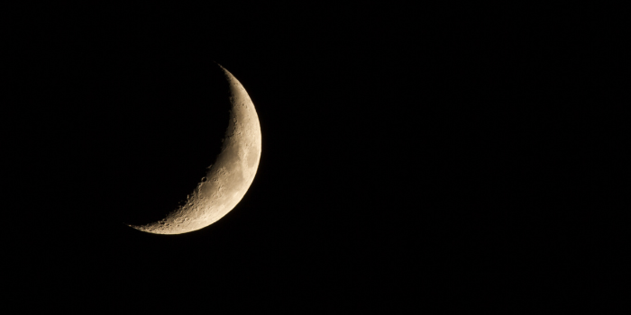 Farm at sunset with flowers in the foreground.