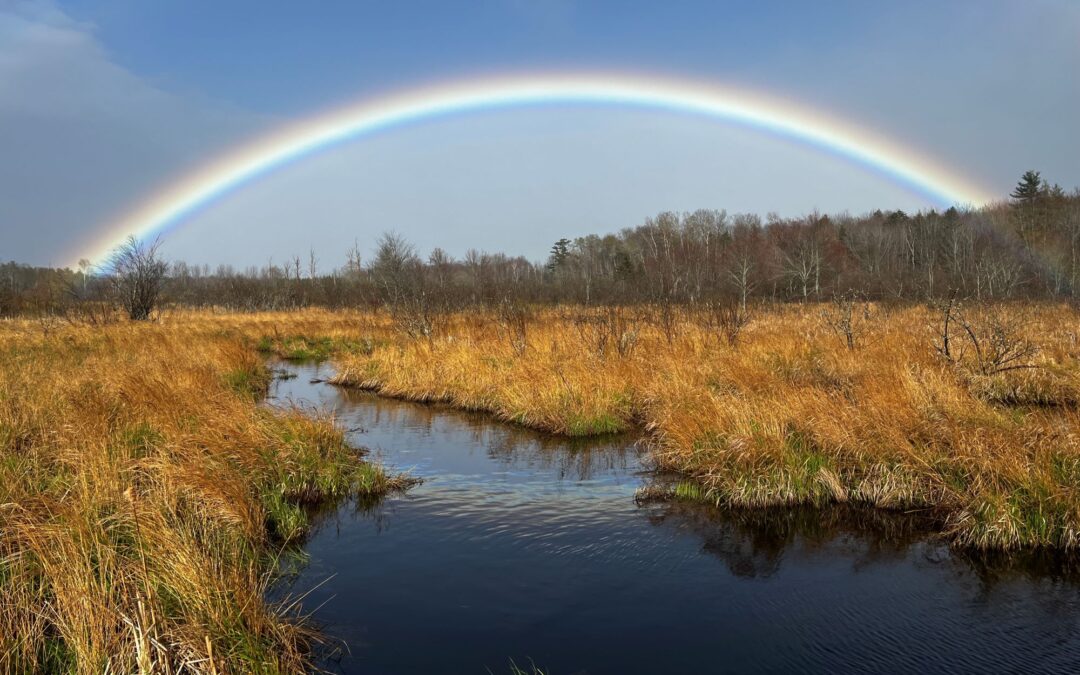 Les terres humides et les changements climatiques dans le Sud-Ouest de la Nouvelle-Écosse