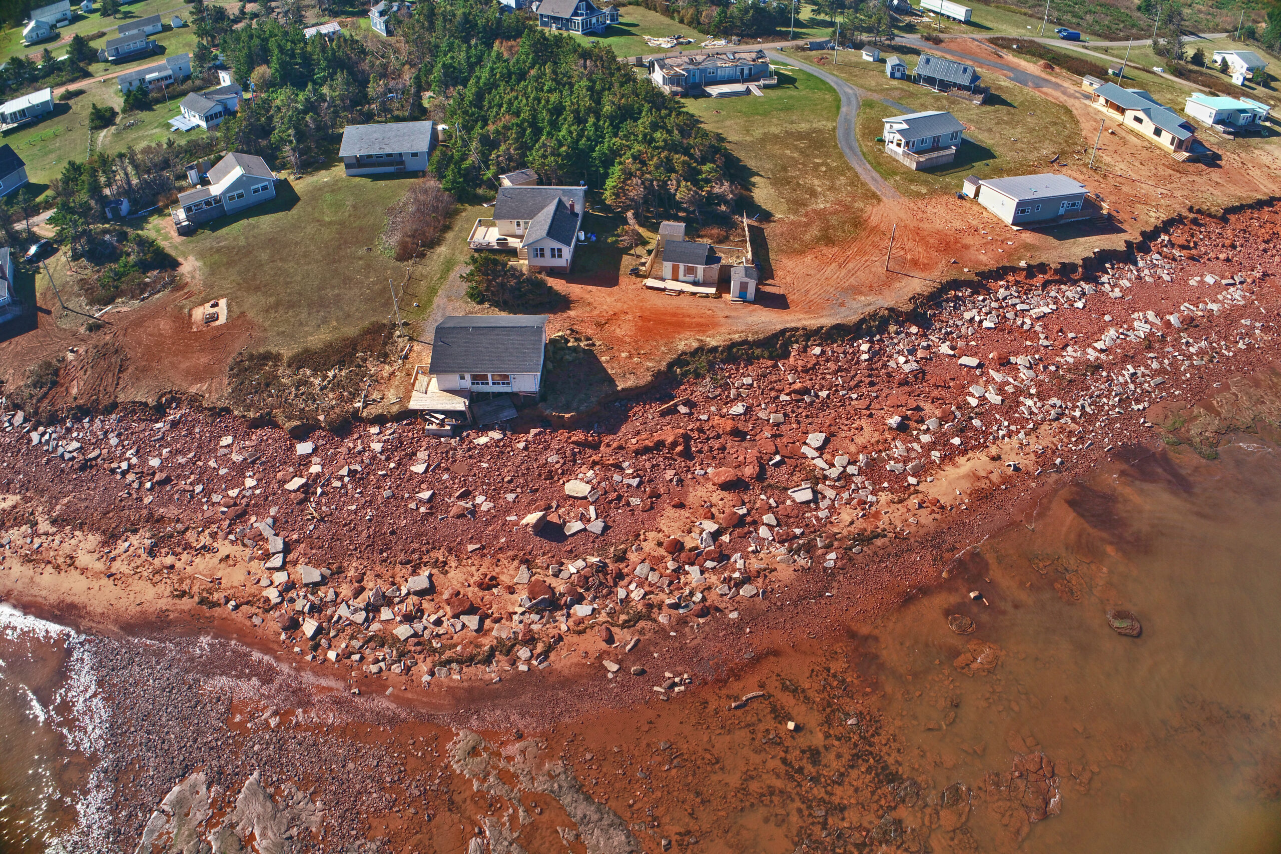 Farm at sunset with flowers in the foreground.