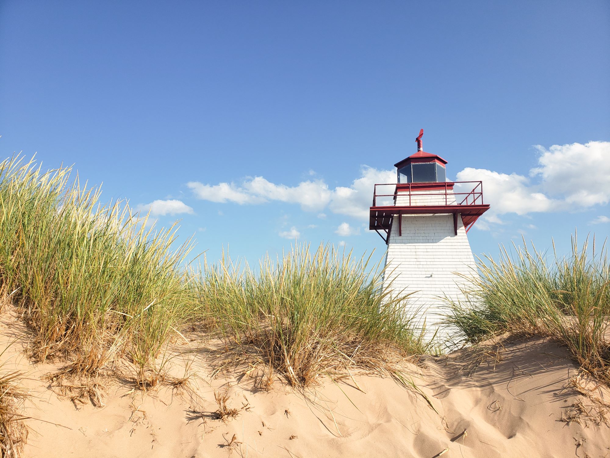 Farm at sunset with flowers in the foreground.