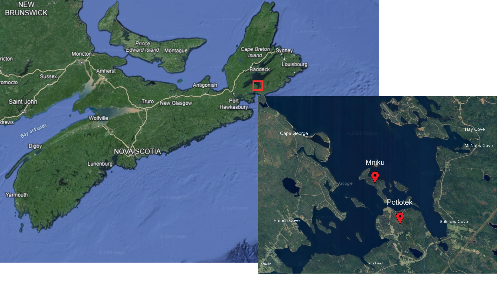 Farm at sunset with flowers in the foreground.